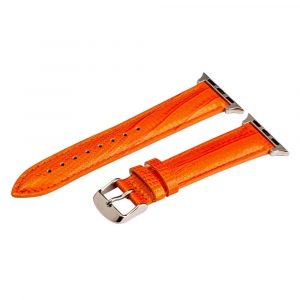Orange Lizard Leather Bands for Apple Watch<sup>®</sup>