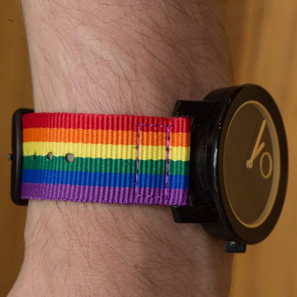PRIDE 2-Piece Classic Ballistic Bands - Image 2